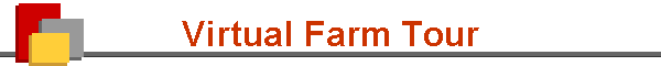 Virtual Farm Tour